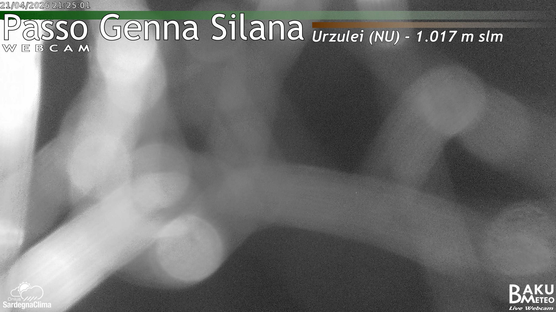 Genna Silana animated GIF