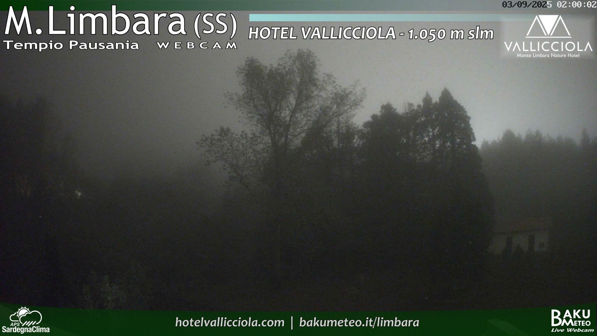 time-lapse frame, Monte Limbara Vallicciola webcam