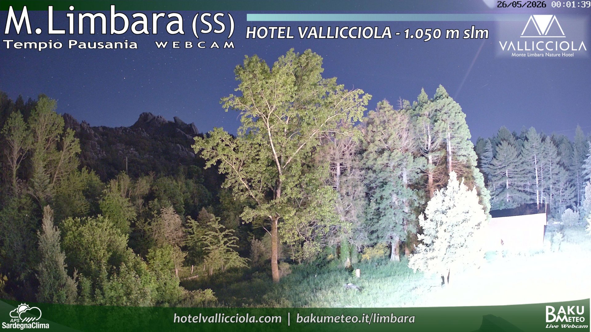 time-lapse frame, Monte Limbara Vallicciola webcam