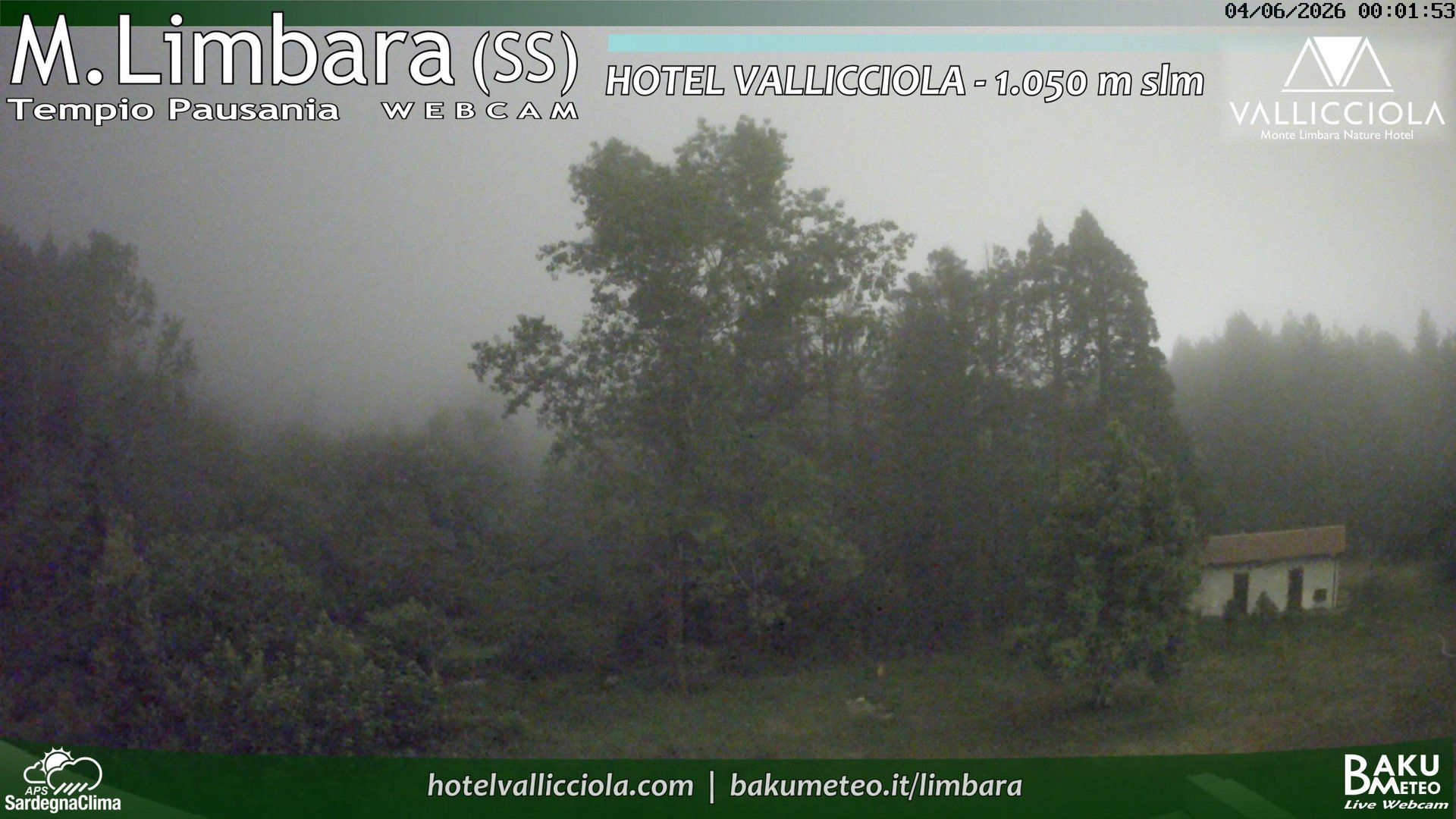 time-lapse frame, Monte Limbara Vallicciola webcam