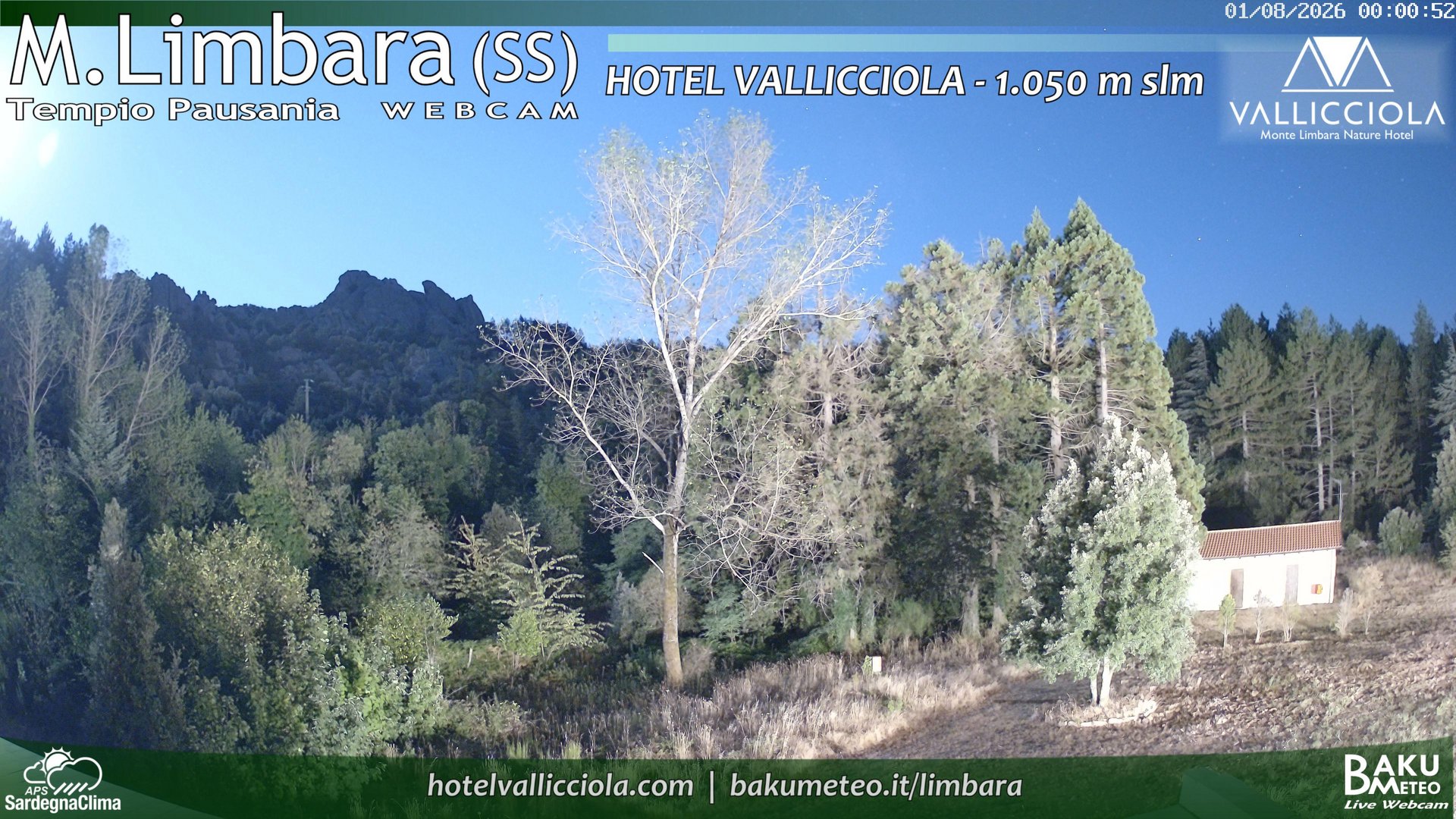 time-lapse frame, Monte Limbara Vallicciola webcam