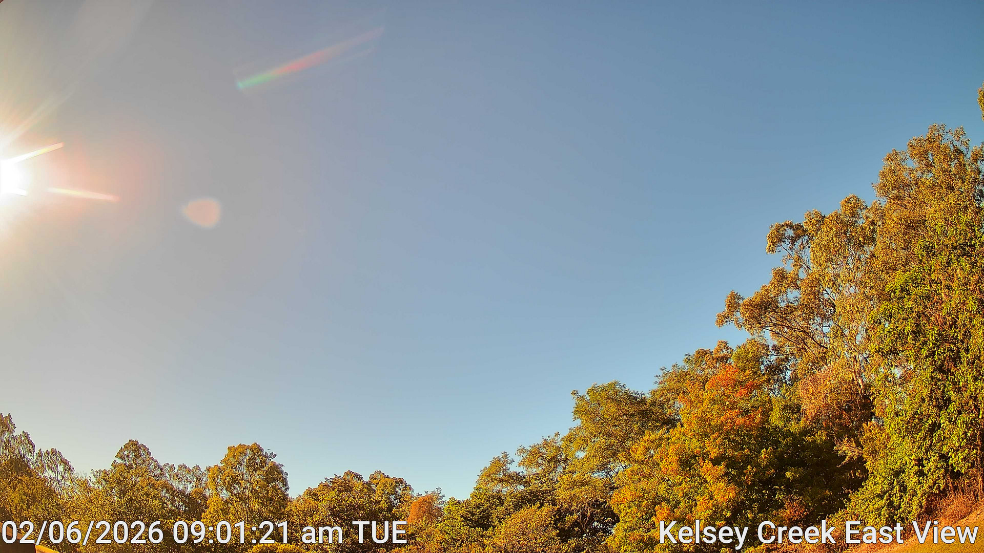 time-lapse frame, Kelsey Creek East View webcam