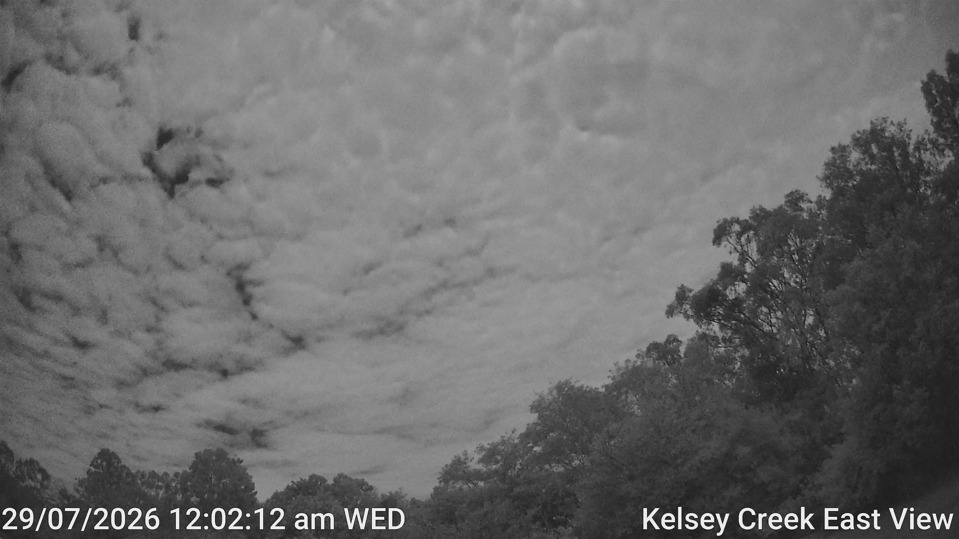 time-lapse frame, Kelsey Creek East View webcam