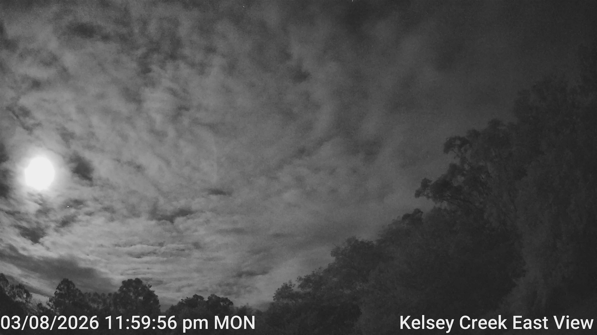 time-lapse frame, Kelsey Creek East View webcam