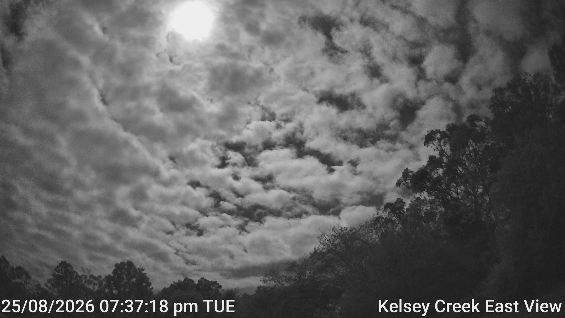 time-lapse frame, Kelsey Creek East View webcam