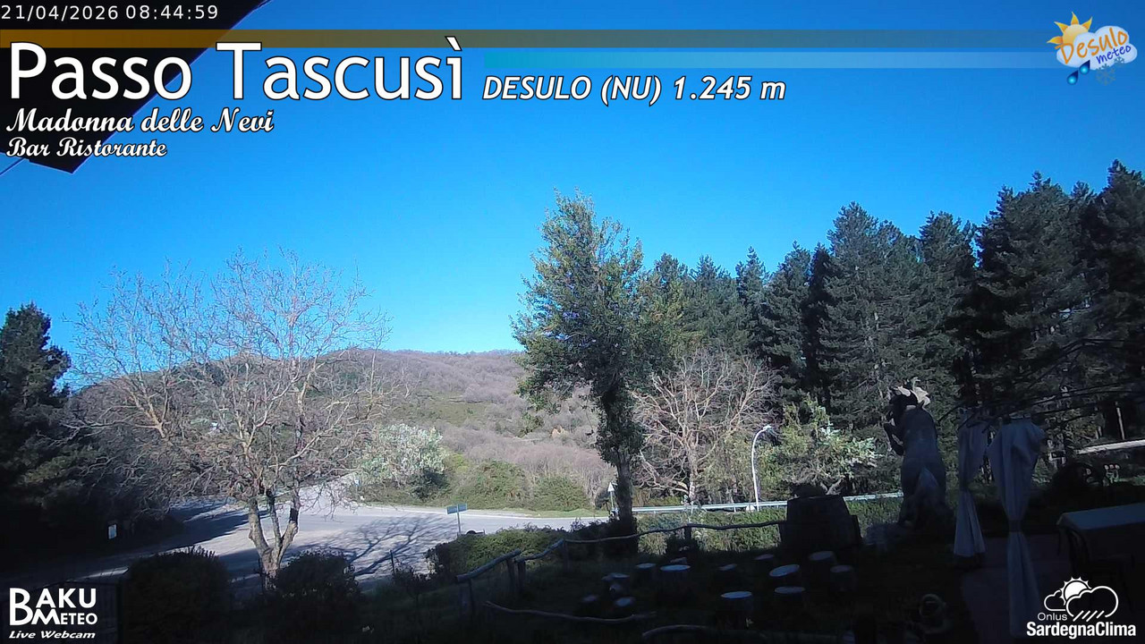 Tascusì animated GIF