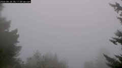 view from Kings Mountain on 2026-06-26