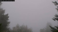 view from Kings Mountain on 2026-06-26