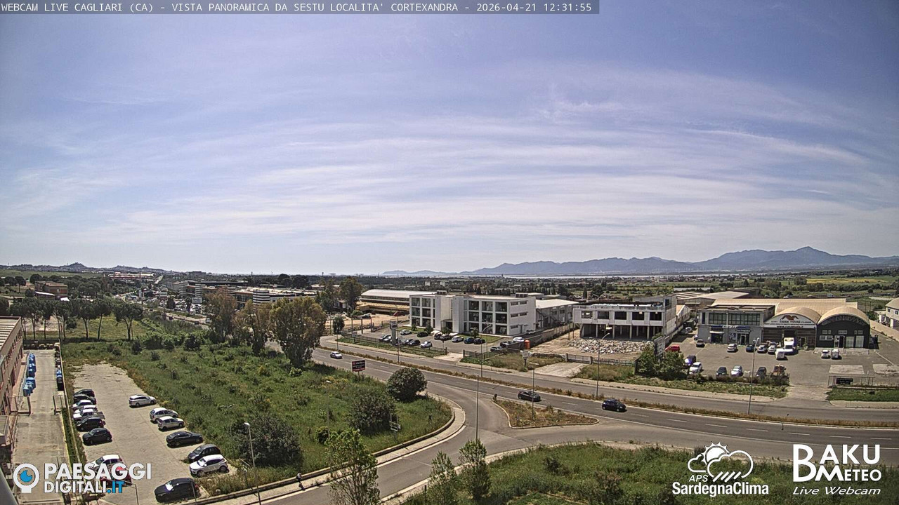 Sestu Cortexandra animated GIF