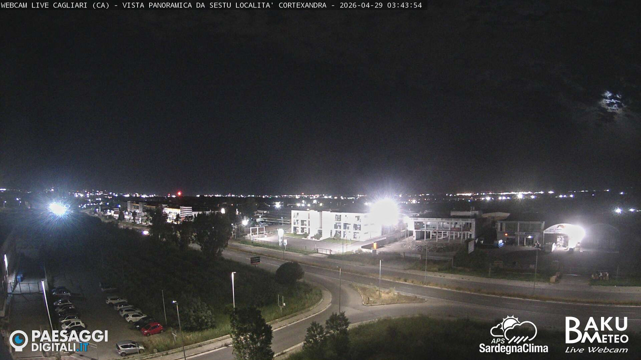 Sestu Cortexandra animated GIF