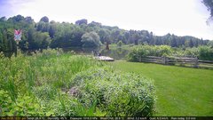 view from Deck-Dock Cam on 2025-06-16