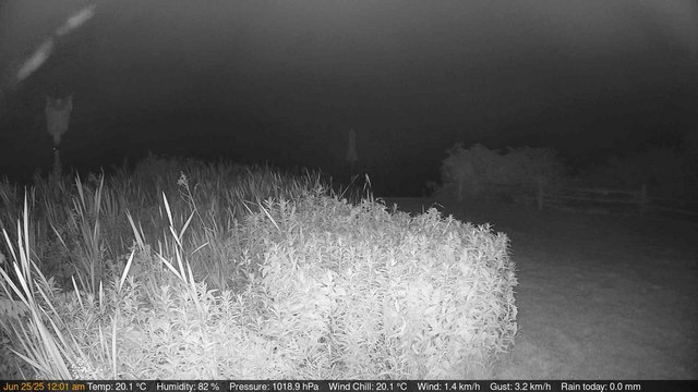 time-lapse frame, Deck-Dock Cam webcam
