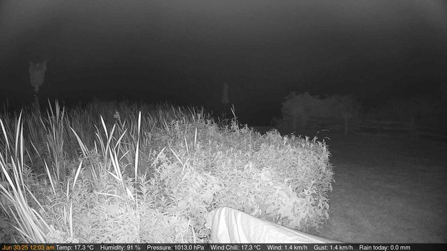 time-lapse frame, Deck-Dock Cam webcam