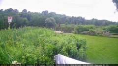 view from Deck-Dock Cam on 2025-06-30