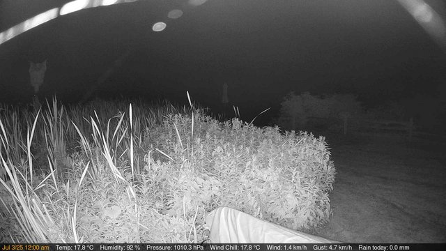 time-lapse frame, Deck-Dock Cam webcam