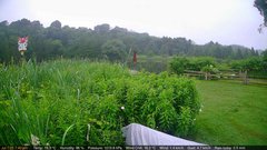view from Deck-Dock Cam on 2025-07-07