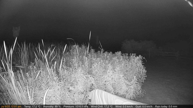 time-lapse frame, Deck-Dock Cam webcam