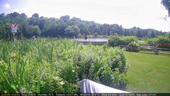 view from Deck-Dock Cam on 2025-07-10