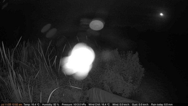 time-lapse frame, Deck-Dock Cam webcam