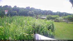 view from Deck-Dock Cam on 2025-07-11