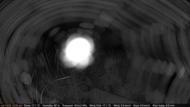 time-lapse frame, Deck-Dock Cam webcam