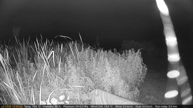 time-lapse frame, Deck-Dock Cam webcam