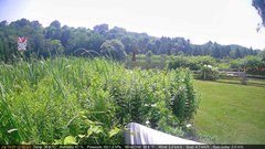 view from Deck-Dock Cam on 2025-07-16