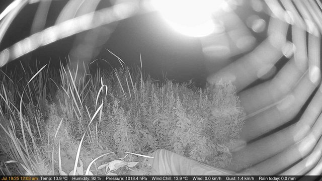 time-lapse frame, Deck-Dock Cam webcam