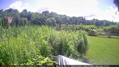 view from Deck-Dock Cam on 2025-07-20