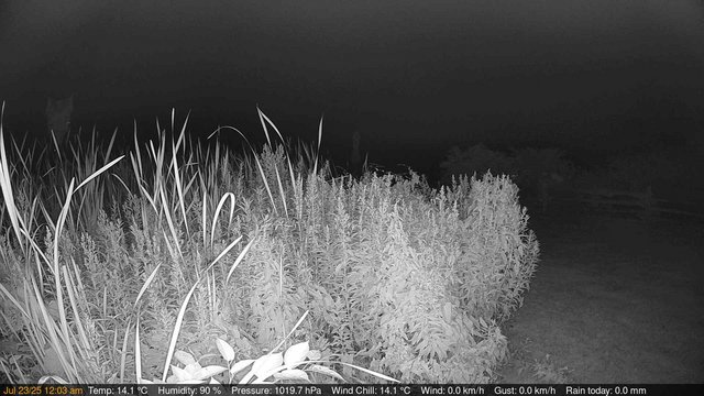 time-lapse frame, Deck-Dock Cam webcam