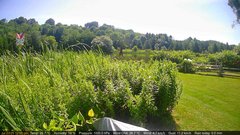 view from Deck-Dock Cam on 2025-07-23