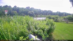 view from Deck-Dock Cam on 2025-07-26