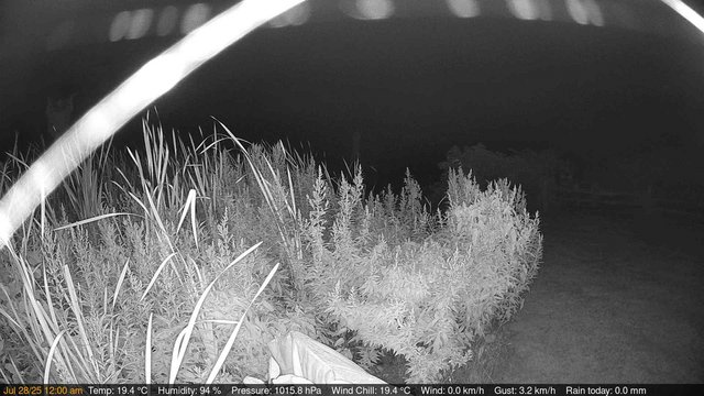 time-lapse frame, Deck-Dock Cam webcam