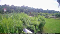 view from Deck-Dock Cam on 2025-07-29