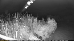 view from Deck-Dock Cam on 2025-07-31
