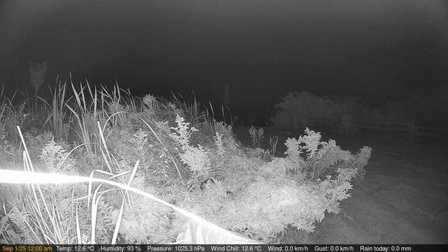 time-lapse frame, Deck-Dock Cam webcam