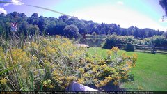 view from Deck-Dock Cam on 2025-09-01