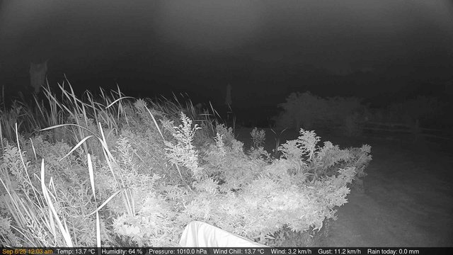 time-lapse frame, Deck-Dock Cam webcam