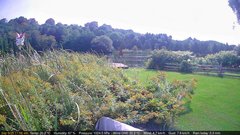 view from Deck-Dock Cam on 2025-09-09