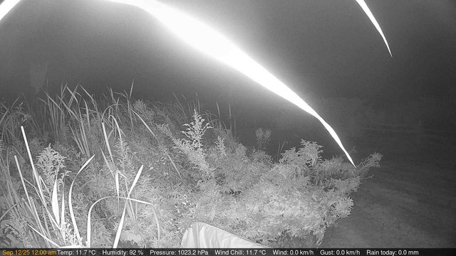 time-lapse frame, Deck-Dock Cam webcam