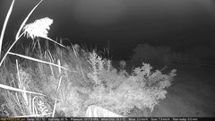 view from Deck-Dock Cam on 2025-09-19