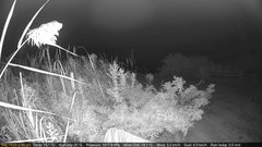 view from Deck-Dock Cam on 2025-09-19
