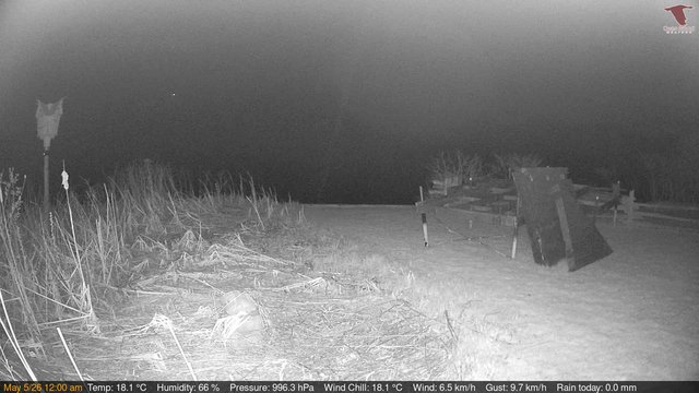 time-lapse frame, Deck-Dock Cam webcam