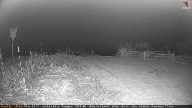 time-lapse frame, Deck-Dock Cam webcam