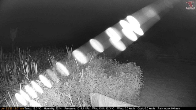time-lapse frame, Deck-Dock Cam webcam