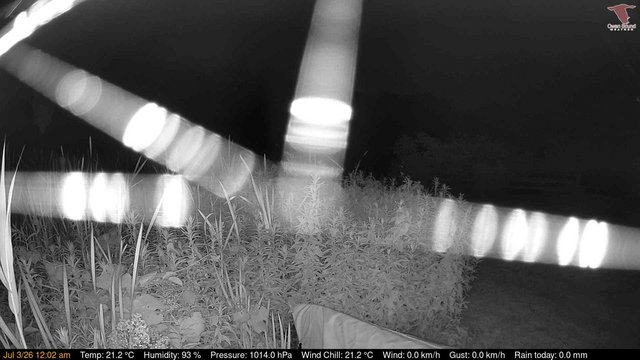 time-lapse frame, Deck-Dock Cam webcam