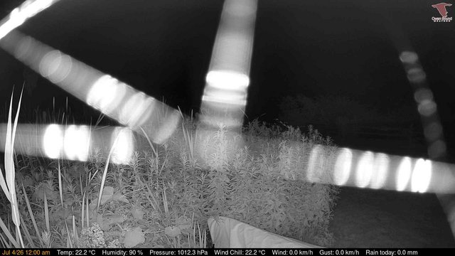 time-lapse frame, Deck-Dock Cam webcam