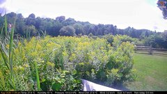 view from Deck-Dock Cam on 2026-08-13