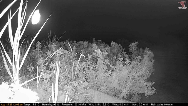 time-lapse frame, Deck-Dock Cam webcam