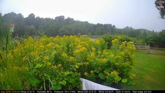 view from Deck-Dock Cam on 2026-08-16